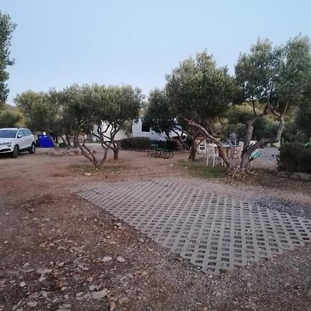 Camp Kopito Otel Hvar Town Dış mekan fotoğraf