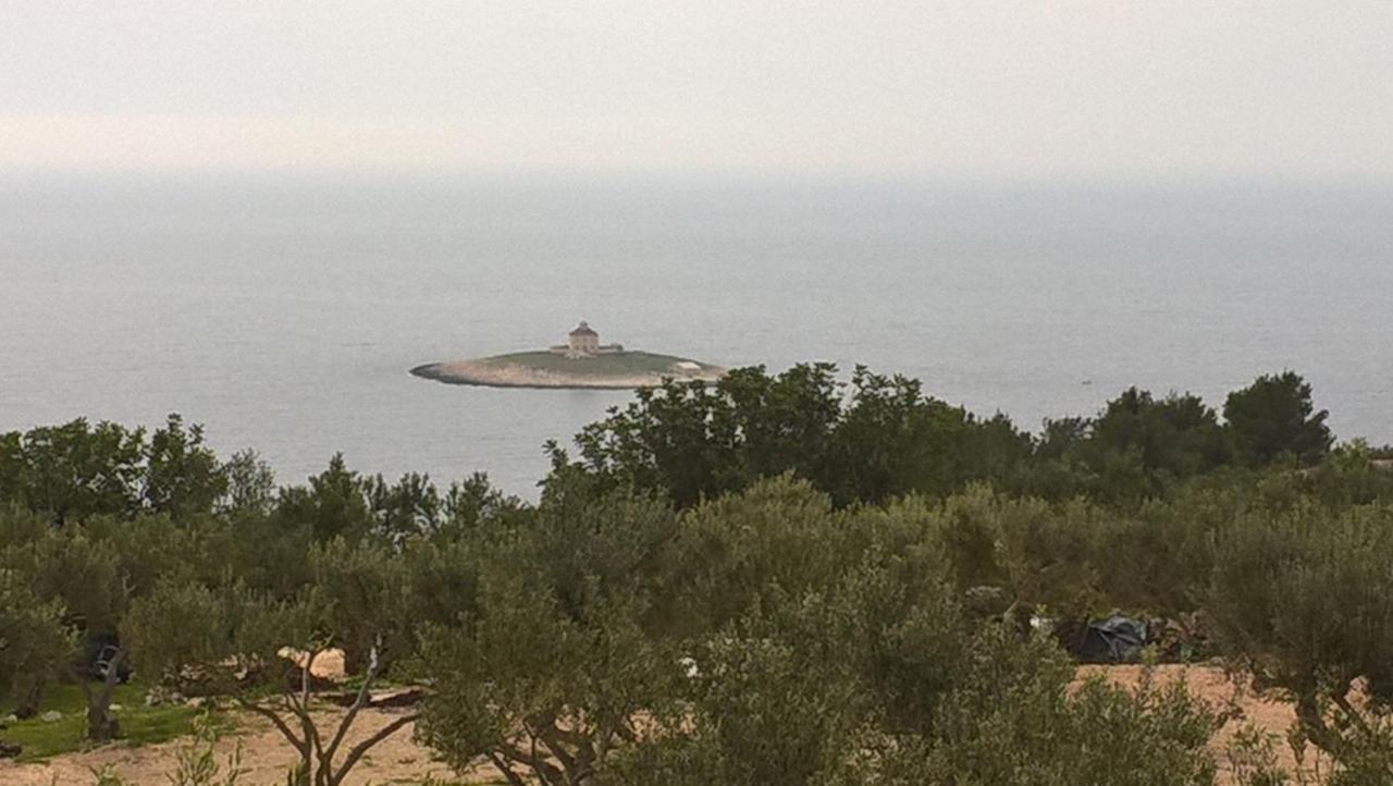 Camp Kopito Otel Hvar Town Dış mekan fotoğraf