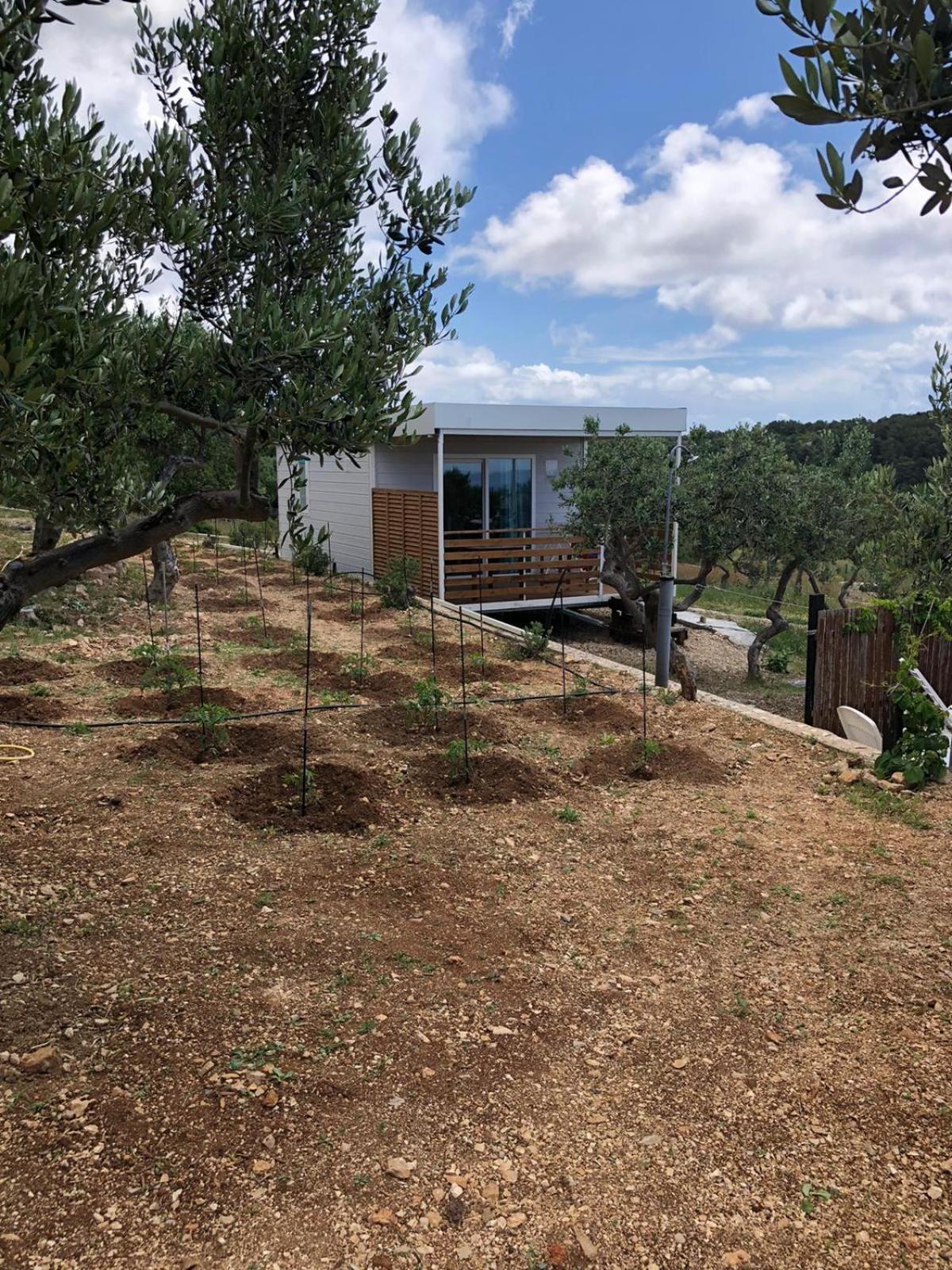 Camp Kopito Otel Hvar Town Dış mekan fotoğraf