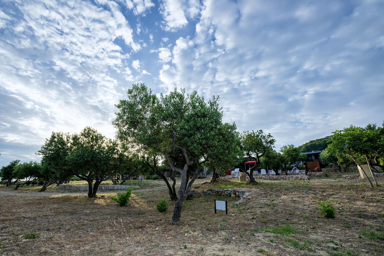 Camp Kopito Otel Hvar Town Dış mekan fotoğraf
