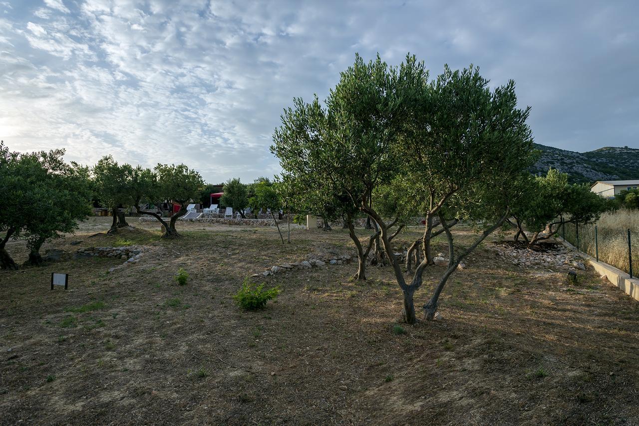 Camp Kopito Otel Hvar Town Dış mekan fotoğraf